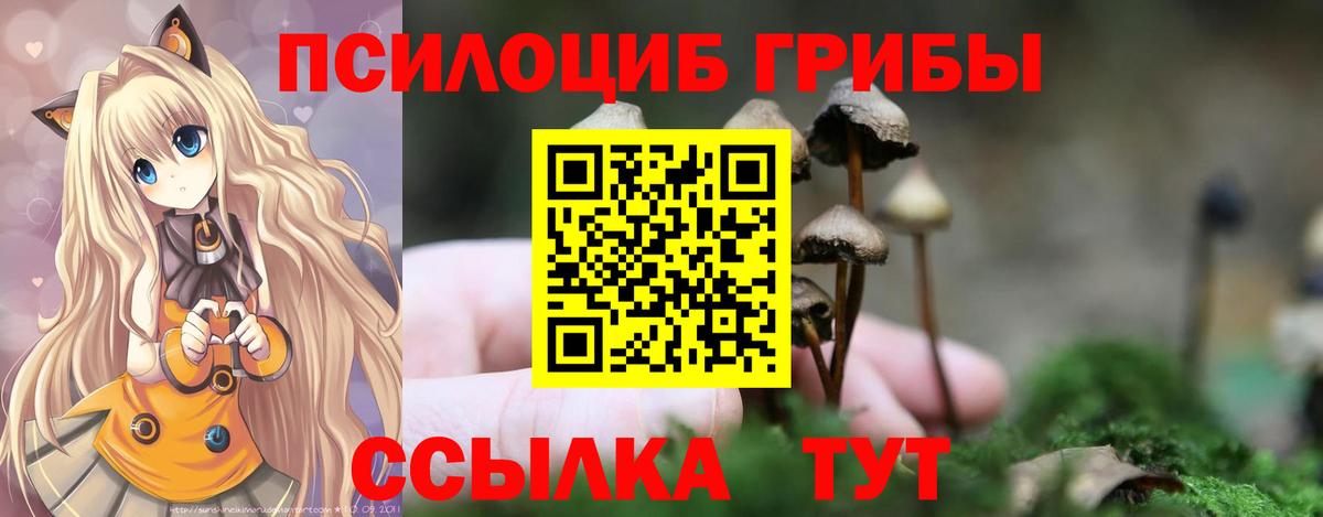 Псилоцибиновые грибы мухоморы Тосно